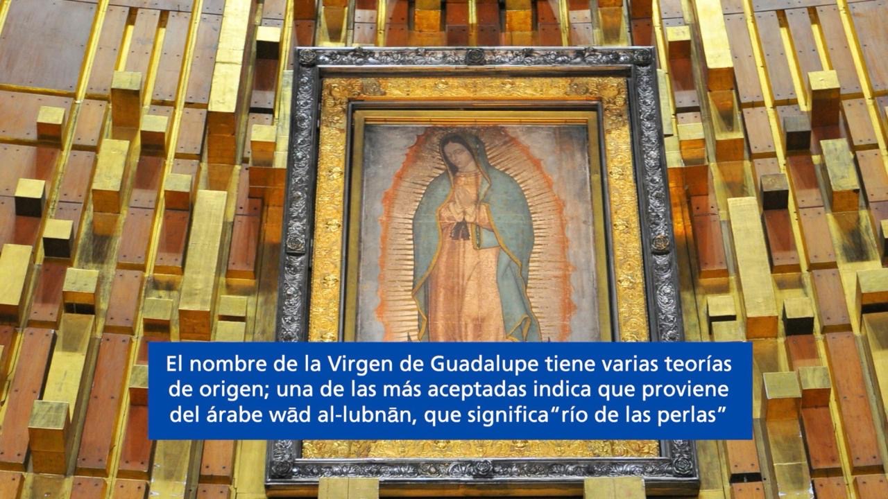 La Virgen de Guadalupe une la historia, la fe y las culturas, explica Teólogo  