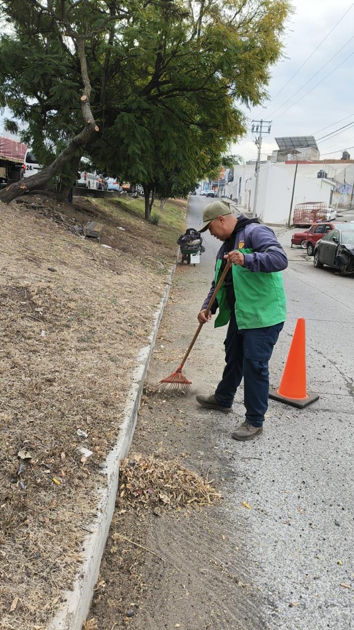Brigadas de Servicios Públicos refuerzan poda y limpieza en vialidades de Morelia