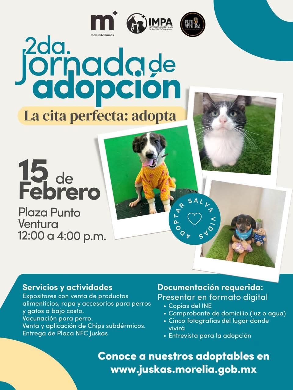 El Impa invita a la 2ª Jornada de Adopción, este fin de semana