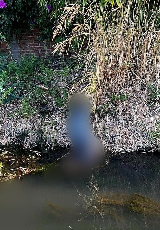 Hombre que cortaba carrizos, toca cables de mediana tensión y muere electrocutado, en Zamora