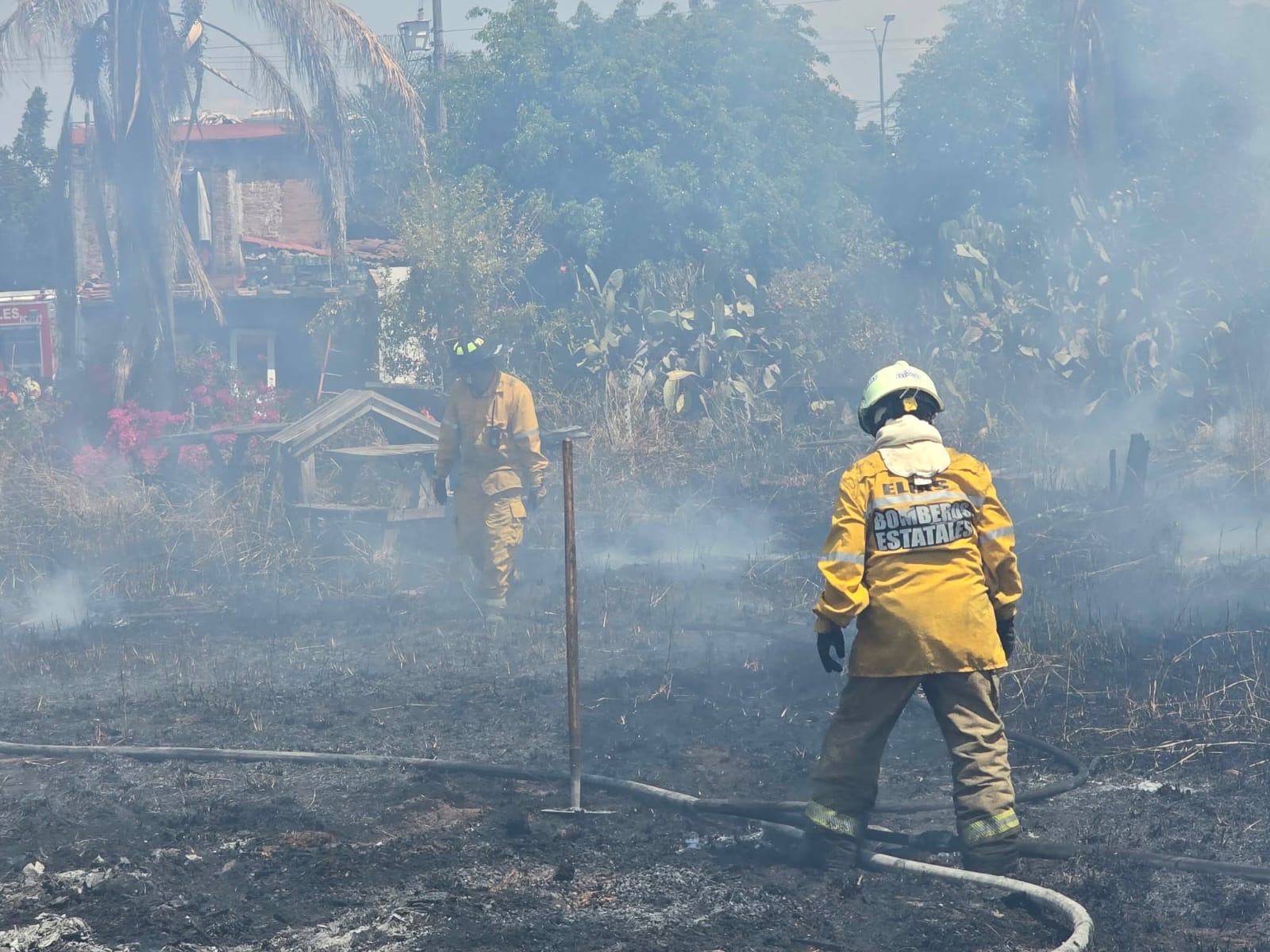 Incendio de pastizal quema la palapa del Restaurante Brisas del Mar, en Morelia 