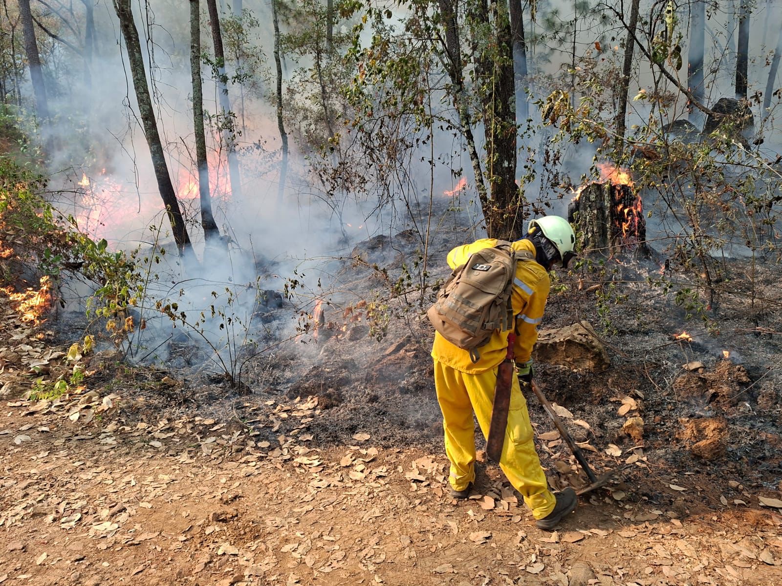 Incendio en Área Natural Protegida de Tzitzio, controlado al 100 por ciento 