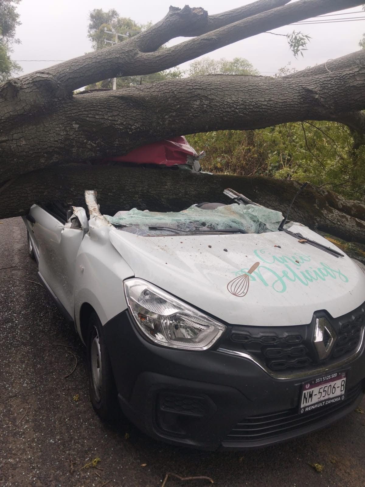 Muere joven tras caída de árbol sobre vehículo en Villa Jiménez