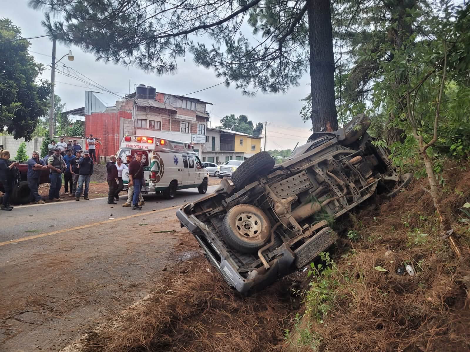 Camioneta vuelc4 y se proyecta contra un árbol, su conductor termina prensad0