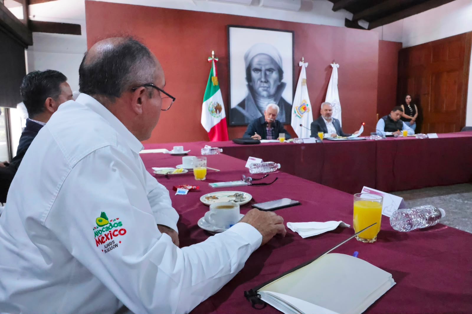 Bedolla y Apeam trazan ruta ambiental, de sanidad y seguridad para el aguacate