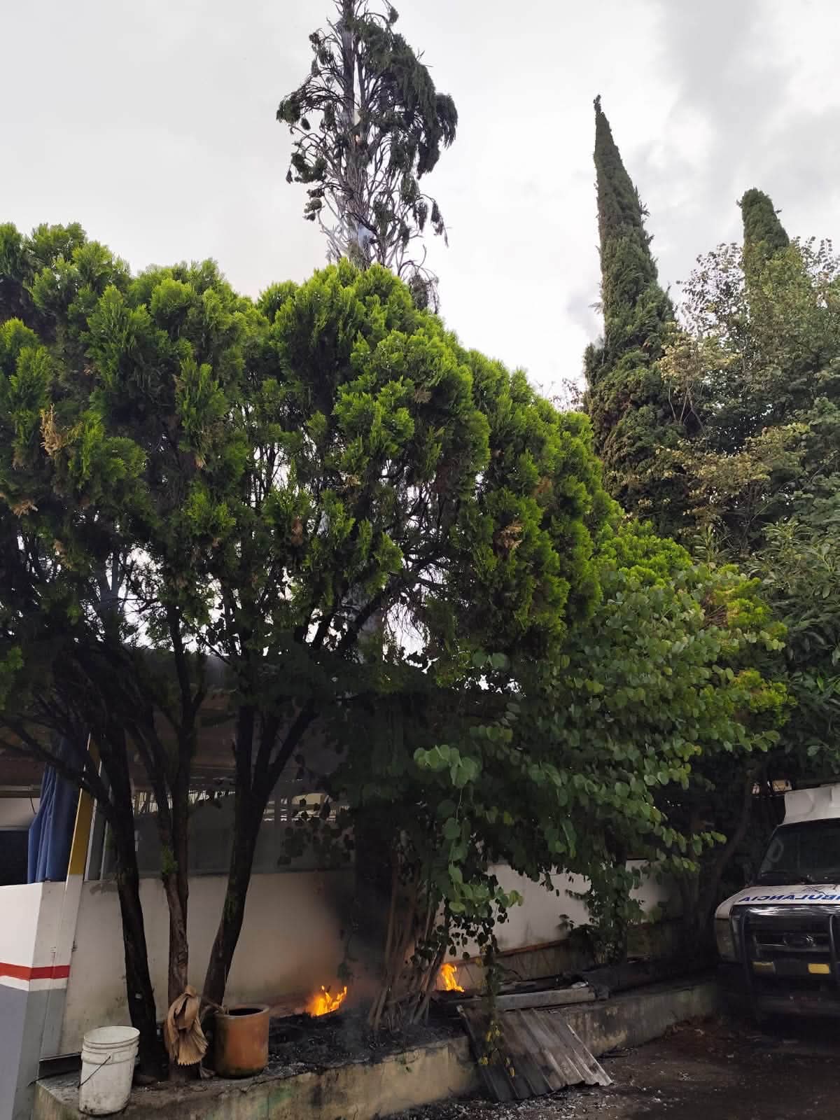 Árbol se incendia tras ser impactado por un rayo, en la colonia Bocanegra de Morelia