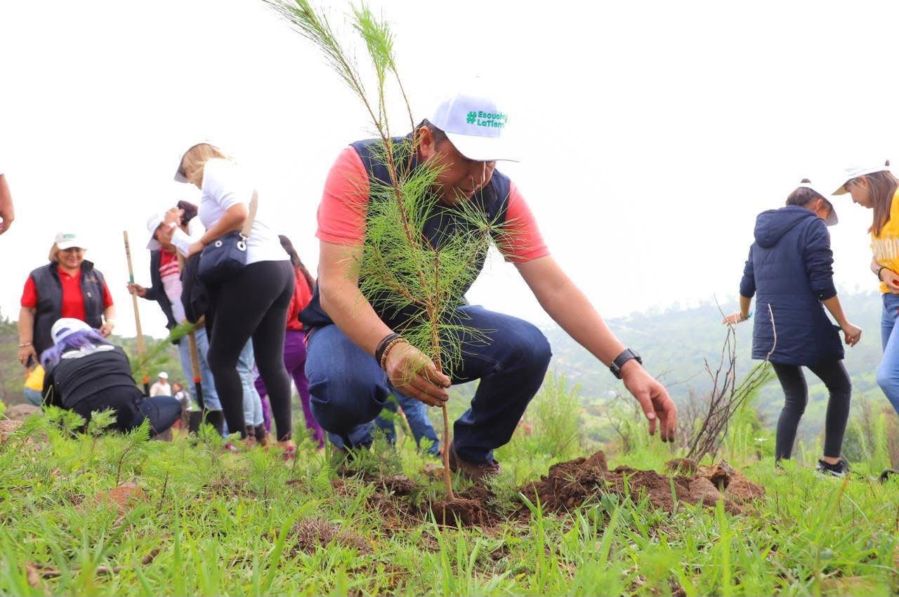 Barragán exige un alto al ecocidio en Morelia
