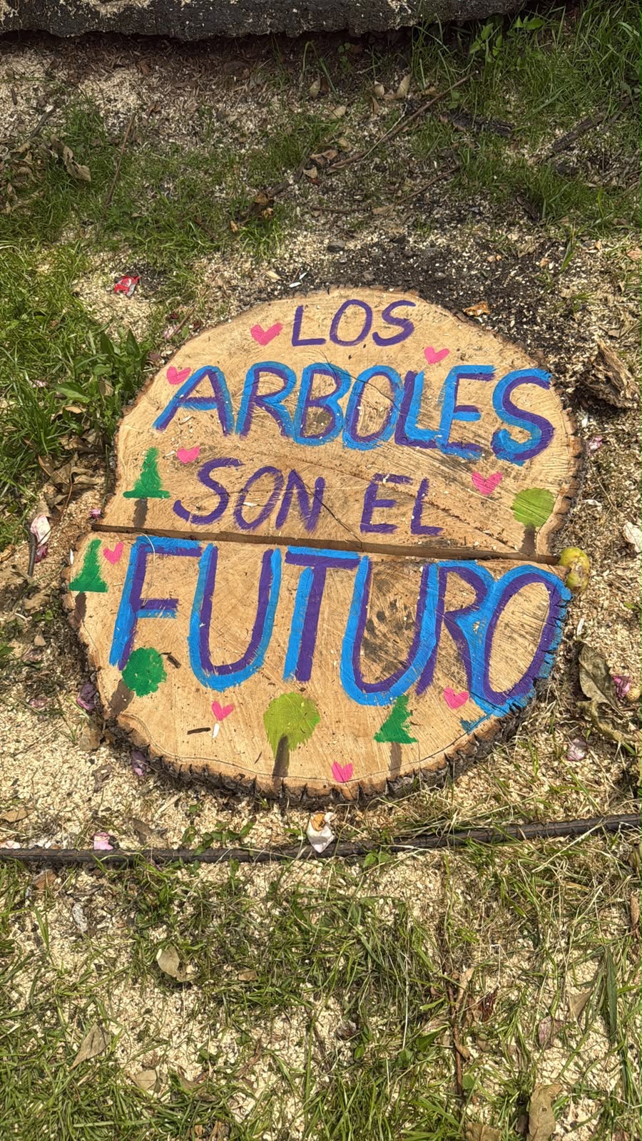 Barragán pide replantear proyecto del Morebus para proteger el medio ambiente